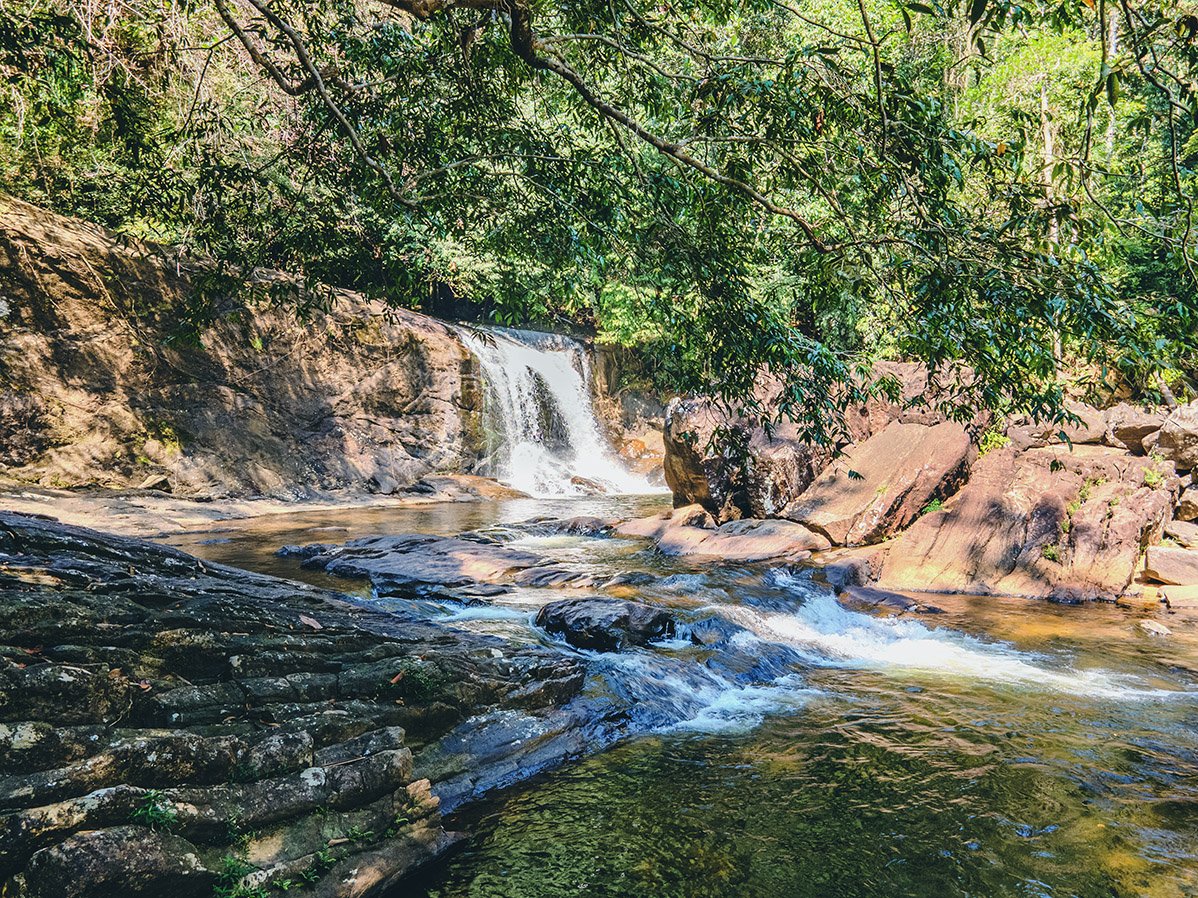 Blue Magpie Lodge Sinharaja 3