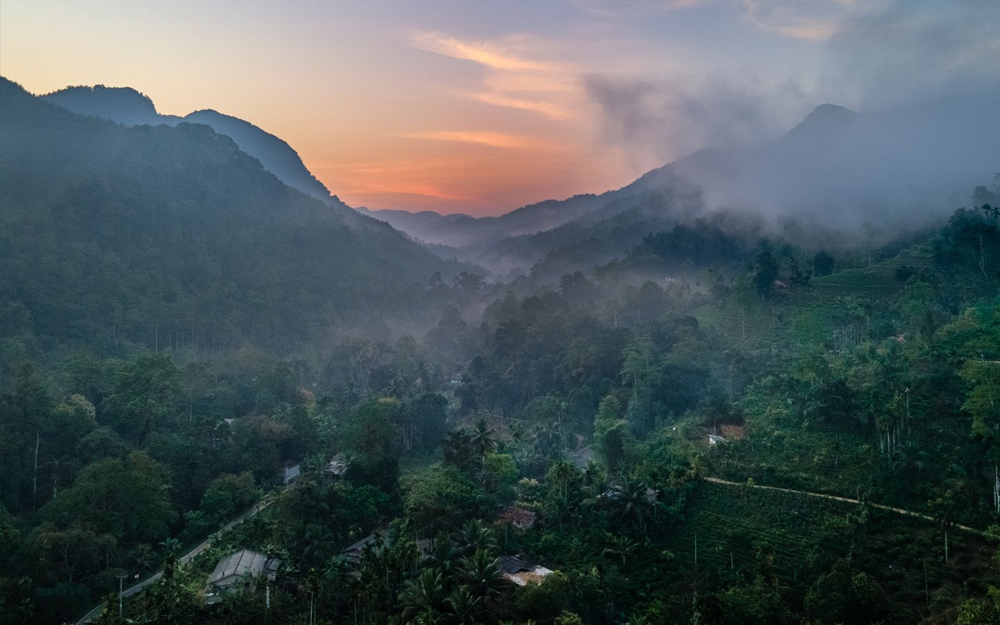 Blue Magpie Lodge interior design with modern amenities and rainforest views