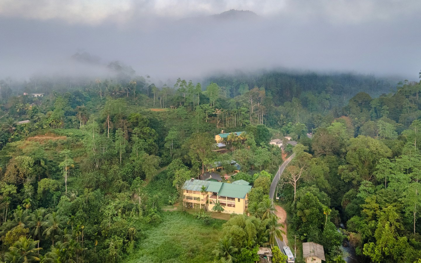 Stunning Sinharaja rainforest canopy view from Blue Magpie Lodge balcony
